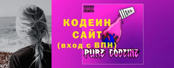ECSTASY Алзамай