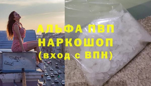 молекула духа Алексин