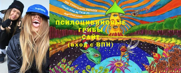 амф Алексеевка