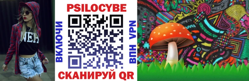 Галлюциногенные грибы прущие грибы где можно купить darknet официальный сайт Евпатория