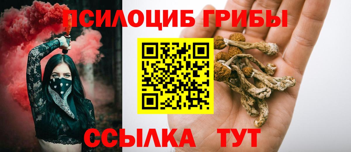 Евпатория  Псилоцибиновые грибы MAGIC MUSHROOMS  магазин продажи наркотиков  Вход с VPN 